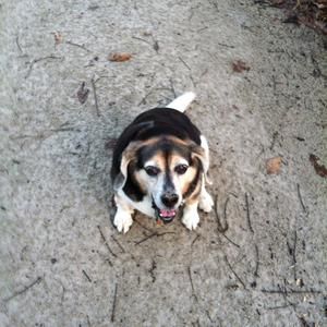 Meet your Posher, Kathy